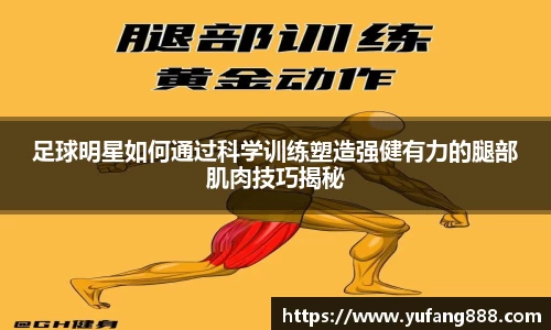 足球明星如何通过科学训练塑造强健有力的腿部肌肉技巧揭秘